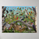 Search for backyard birds posters Wild