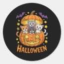 Search for kitty cat stickers Cute