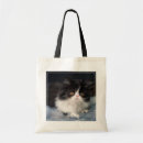 Search for longhair bags Kitten