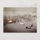 Search for happy duck postcards Animals