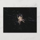 Search for dark postcards Animal