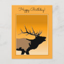 Search for bugle postcards Elk