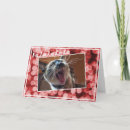 Search for funny photographer cards Silly