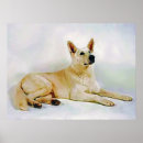 Search for white german shepherd art Animal