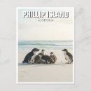 Search for phillip postcards Australia