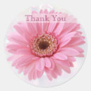 Search for gerbera daisy labels White