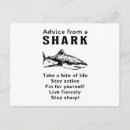 Search for cool shark Funny