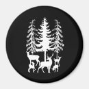 Search for white pine magnets Forest