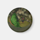 Search for firefly magnets Magical