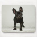 Search for spain mousepads Dog