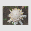Search for tropical plants tissue paper Island