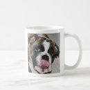 Search for dog licks mugs Licking