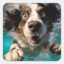 Search for underwater design stickers Animal lover