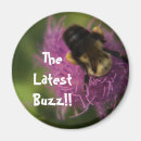 Search for buzzing magnets Insect