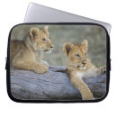 Search for baby lion electronics Cub