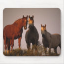 Search for arabs mousepads Standing