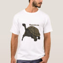 Search for galapagos tshirts Tortoise