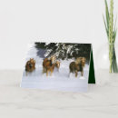 Search for equine christmas cards Season