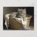 Search for playtime postcards Kitten