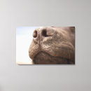 Search for blanca art Spain