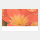 Search for plant stickers Photography