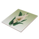 Search for calla lily flower tiles White flowers