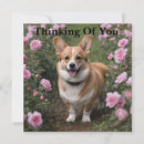 Search for corgi cards Animal