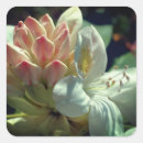 Search for azalea stickers Flower