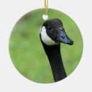 Search for canadian goose christmas tree decorations Cute
