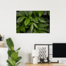 Search for green earth posters Nature