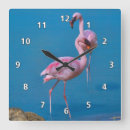 Search for lake clocks Birds