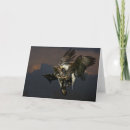 Search for juvenile cards Eagle