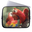 Search for macaw laptop cases Wild