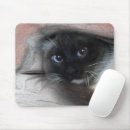 Search for animal sketch mousepads Kitten