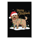 Search for labradoodle art Funny