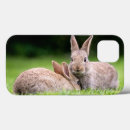 Search for baby rabbit iphone cases Young animal