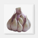 Search for cooked vegetables magnets Food