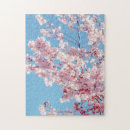 Search for japanese cherry blossoms puzzles Beautiful