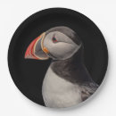 Search for puffin plates Nature