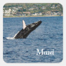 Search for maui hawaii stickers Vacation