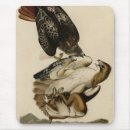 Search for red tail mousepads Red tailed hawk