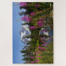 Search for fireweed Mountain