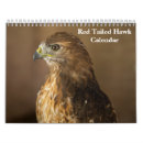 Search for tail office supplies Animals
