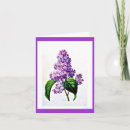 Search for redoute cards Flower
