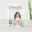 Search for cocker spaniel cards Pets