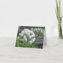 Search for pollinators cards Bee