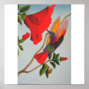 Search for abstract realism Bird