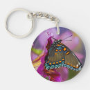 Search for black swallowtail butterfly key rings Blue