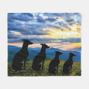 Search for greyhound blankets Whippet