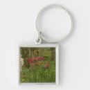 Search for rhododendrons key rings Landscape